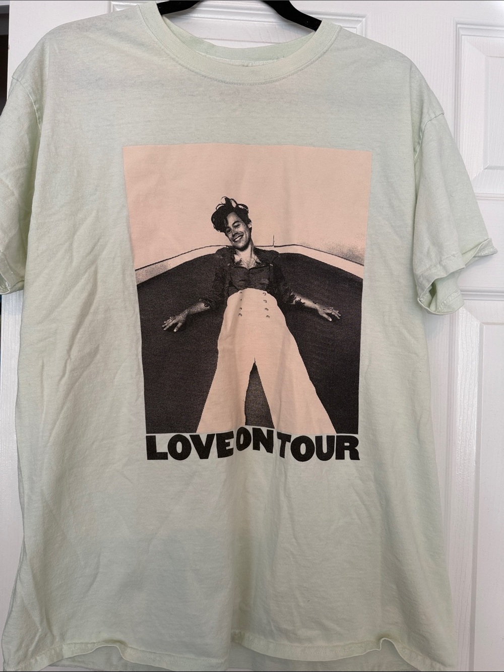 Harry Styles Love On Tour Graphic Tee - Light Mint
